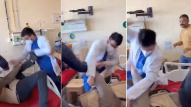 Doctor Seen Beating Patient at IGMC Shimla, Incident Triggers Massive Protest