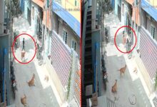 Stray Dog Menace: Five-Year-Old Child Injured in Attack, Locals Allege Official Negligence