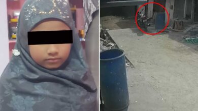 Pahadi Shareef Incident, 8-Year-Old Girl Attacked by Stray Dog in Shaheen Nagar