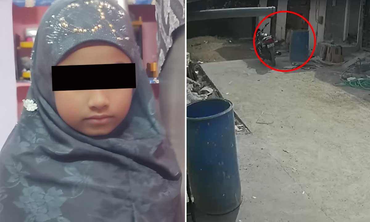 Pahadi Shareef Incident, 8-Year-Old Girl Attacked by Stray Dog in Shaheen Nagar