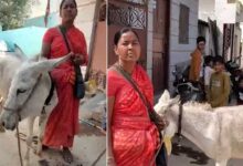 Donkey Milk Sold Openly in Hyderabad’s Old City: Is Its Consumption Permissible in Islam?