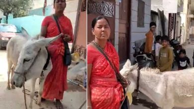 Donkey Milk Sold Openly in Hyderabad’s Old City: Is Its Consumption Permissible in Islam?