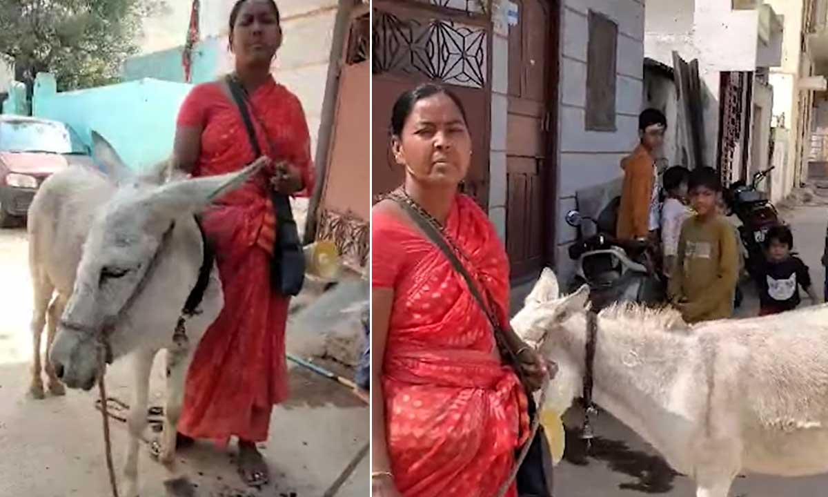 Donkey Milk Sold Openly in Hyderabad’s Old City: Is Its Consumption Permissible in Islam?