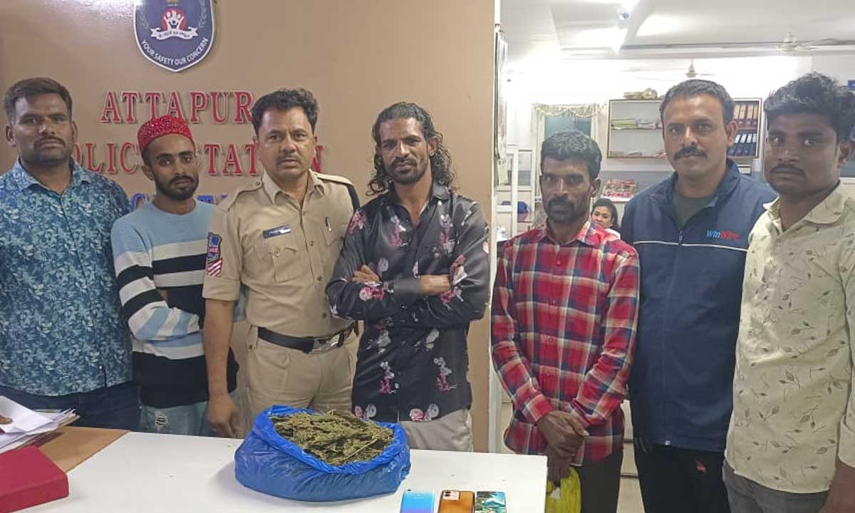 Attapur SOT Cracks Down on Illegal Ganja Sale; One Peddler and Two Consumers Arrested in Rajendranagar