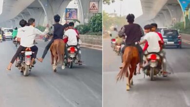 Chaos in Rajendranagar, Miscreants Create Uproar with Bikes and a Horse on the Road, Residents Concerned about