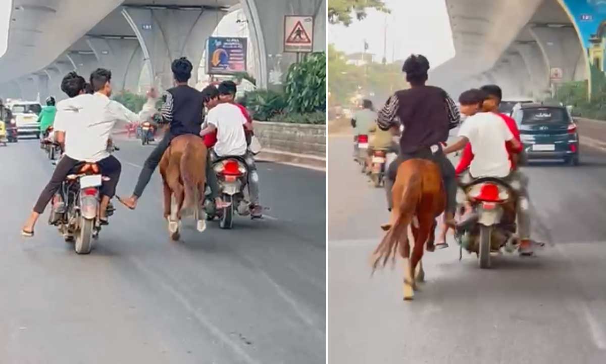 Chaos in Rajendranagar, Miscreants Create Uproar with Bikes and a Horse on the Road, Residents Concerned about