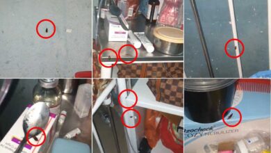 Shocking Condition at Niloufer Children’s Hospital, Cockroaches Found in RICU, Parents Panic