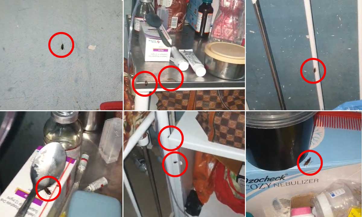 Shocking Condition at Niloufer Children’s Hospital, Cockroaches Found in RICU, Parents Panic