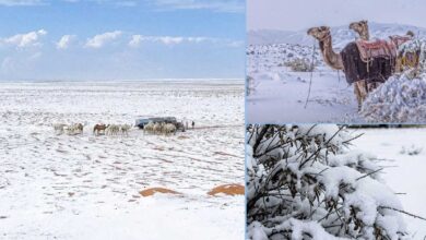 Snowfall in Saudi Arabia’s Desert Stuns the Region as Rare Weather Blankets Gulf Areas; Social Media Flooded with Stunning Videos
