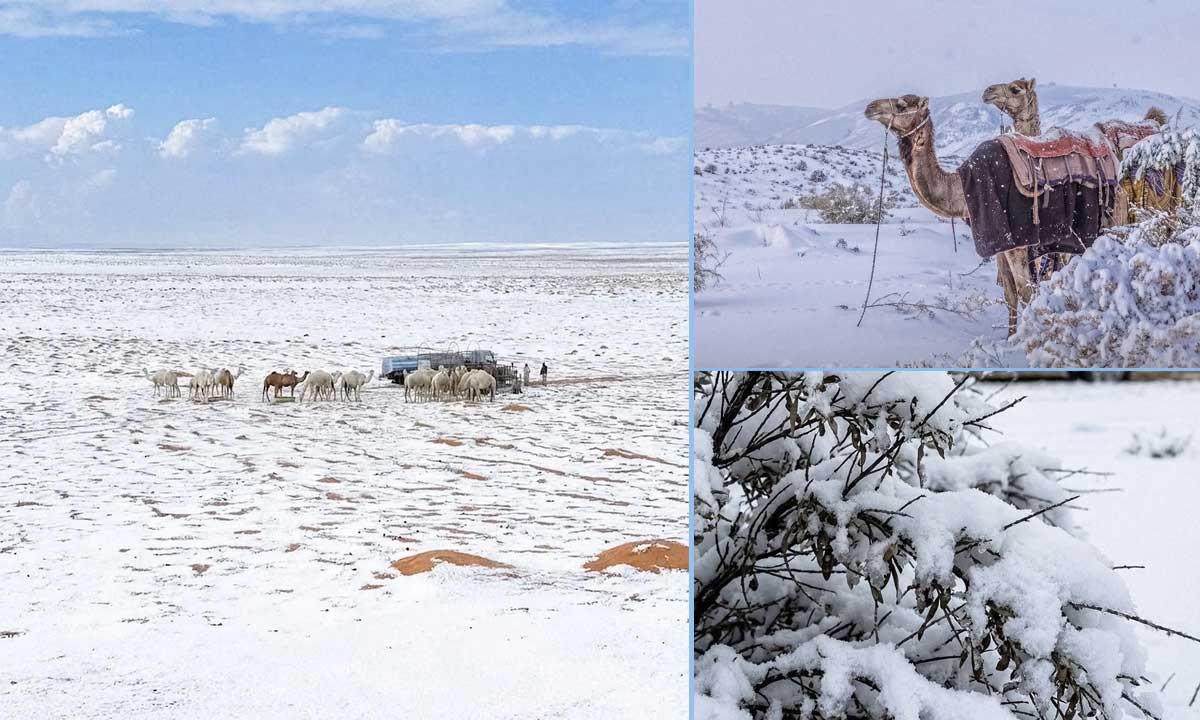 Snowfall in Saudi Arabia’s Desert Stuns the Region as Rare Weather Blankets Gulf Areas; Social Media Flooded with Stunning Videos