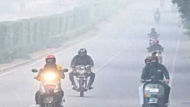 Cold Wave Grips Hyderabad, City Sees Coldest Morning in 7 Years, IMD Issues New Alerts