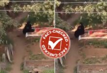 Fact Check: Karimnagar Graveyard Incident — Here Is the True Story of the Muslim Girl Seen Sitting in the Cemetery