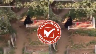 Fact Check: Karimnagar Graveyard Incident — Here Is the True Story of the Muslim Girl Seen Sitting in the Cemetery