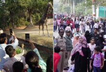 Hyderabad Nehru Zoological Park Draws Over 1 Lakh Visitors During Christmas Holiday Week