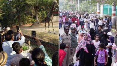 Hyderabad Nehru Zoological Park Draws Over 1 Lakh Visitors During Christmas Holiday Week