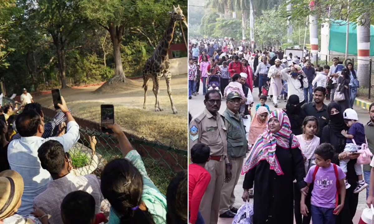 Hyderabad Nehru Zoological Park Draws Over 1 Lakh Visitors During Christmas Holiday Week