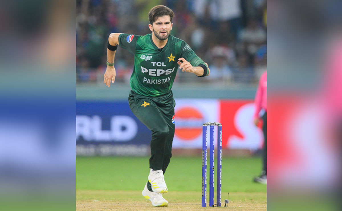 ‘He's a role model’: Shaheen Afridi credits ‘legend’ Starc for shaping his career
