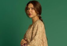 Sonam Bajwa says 'It has been a dream run in 2025' following a successful hattrick in Bollywood