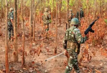 Woman Maoist killed in fresh encounter in Jharkhand’s Saranda Forest