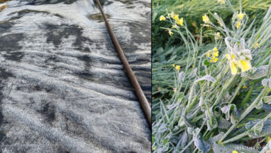 Cold wave intensifies in Rajasthan, Lunkaransar dips to near freezing 0.3 degrees C