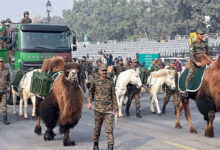 Republic Day: Indian Army showcases four-legged warriors in a historic first