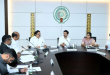 Andhra Pradesh mulls law for 'age-appropriate access' to social media