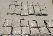 Hydroponic ganja valued at Rs 14 crore seized at Hyderabad Airport