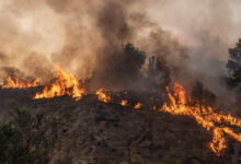 Huge Fires Burn Large Areas in South Africa’s Cape Provinces