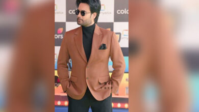 Vivian Dsena Leaves ‘Laughter Chefs’; Mystery Colors Show in the Works