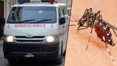 Mosquito-Borne Diseases Claim 103 Lives in Sindh, Hospitals Reveal