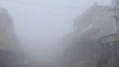 Cold Nights Continue, Winter Rain on the Way