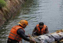 Bhadra Canal Accident: Rescue Attempt Claims Four Lives in Karnataka