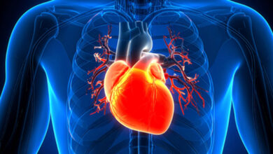 Scientists Find Way to Spot Cardiovascular Risk Years in Advance