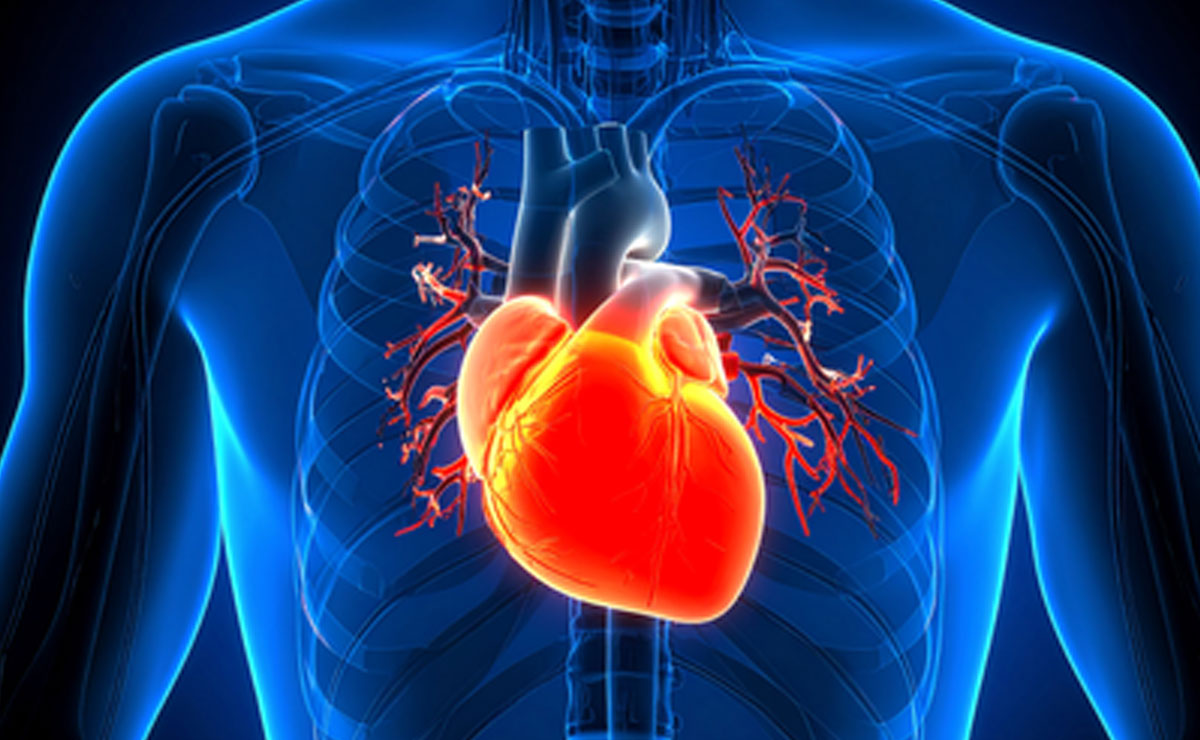 Scientists Find Way to Spot Cardiovascular Risk Years in Advance