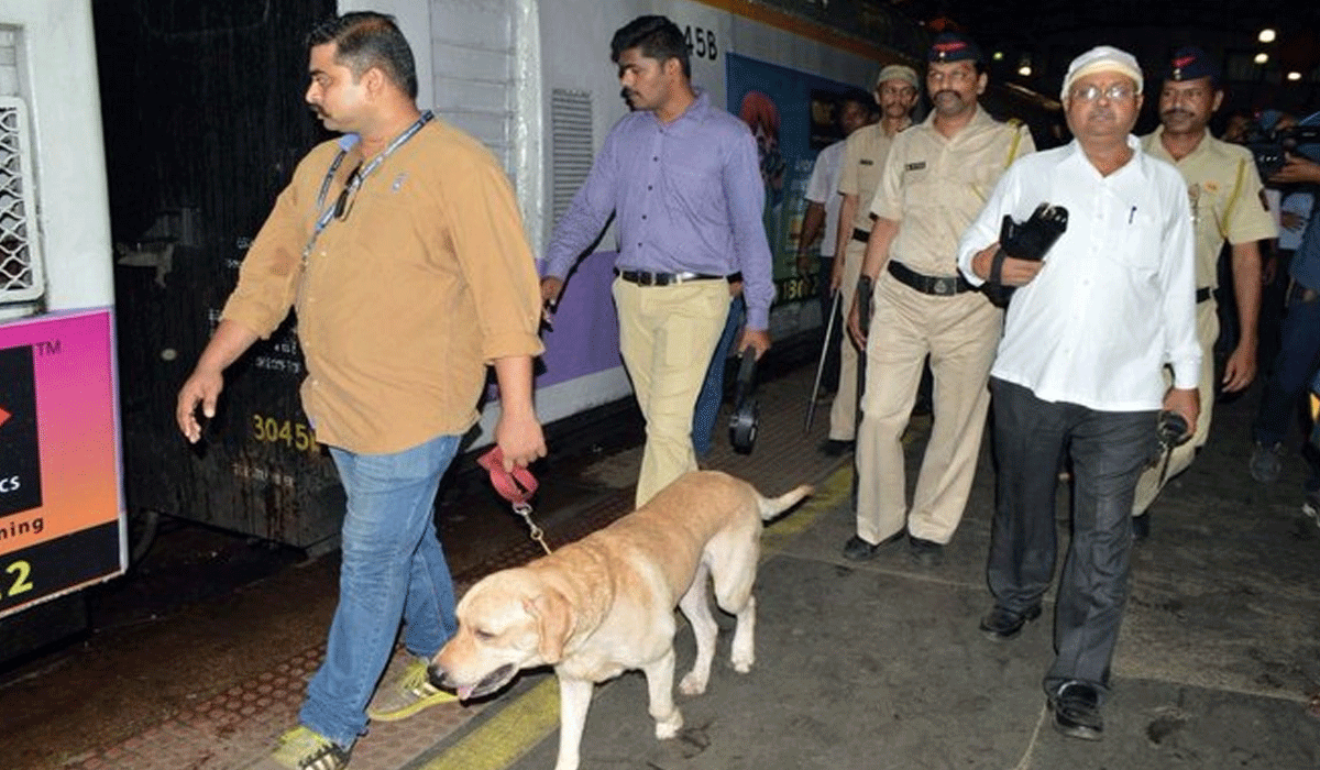 Bomb threats trigger tightened security at courts, govt offices across Gujarat