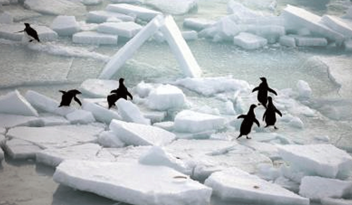 World's oceans set new heat record in 2025: Study