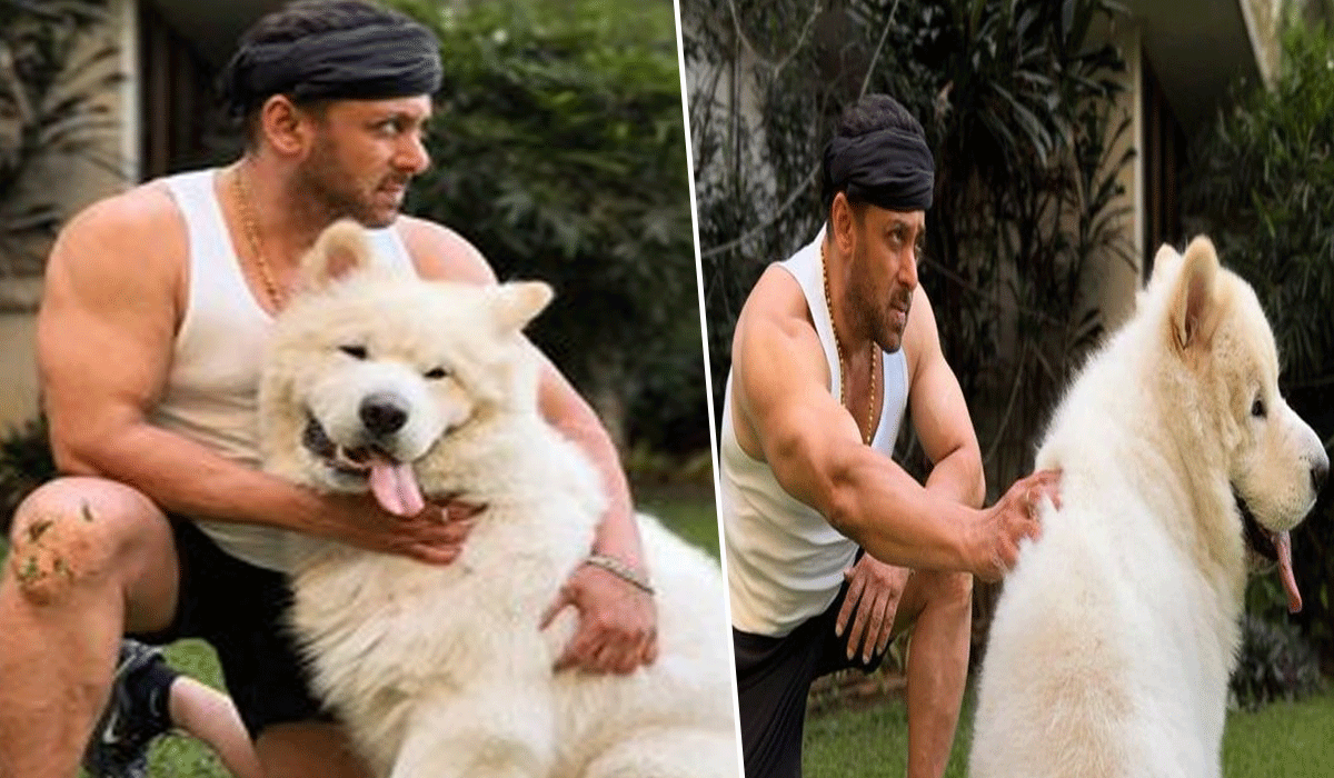 Salman Khan shares pictures of his special Sunday outing with furry friend