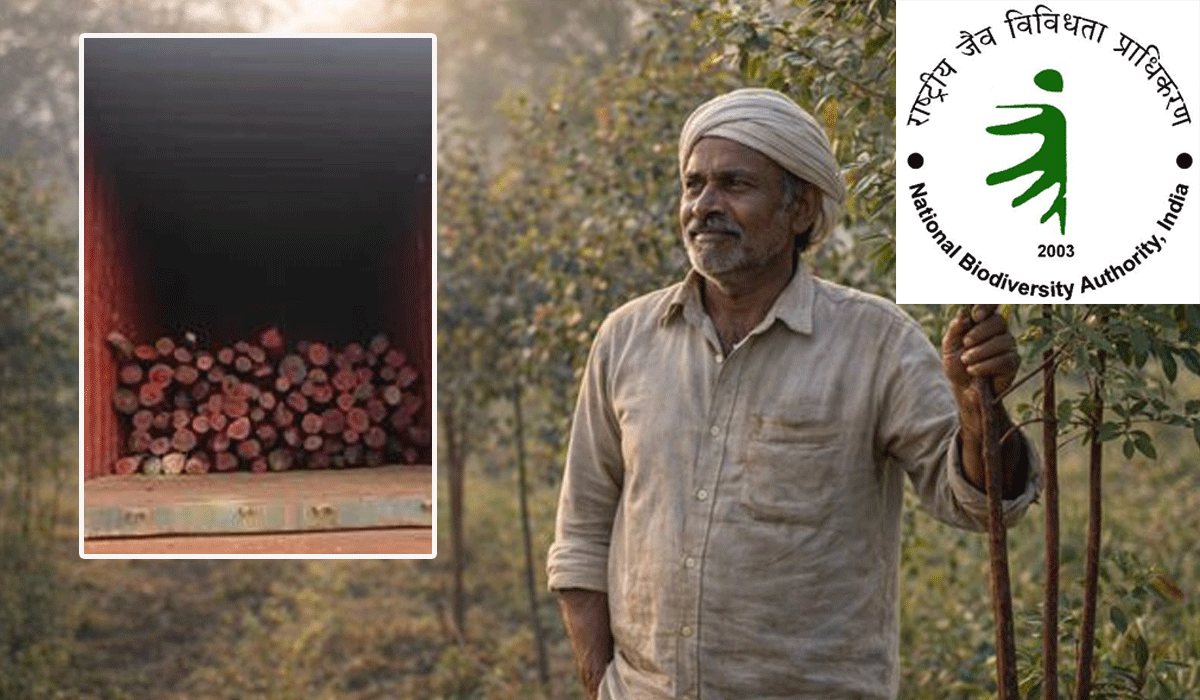Biodiversity authority releases Rs 45 lakh for Red Sanders growers in Andhra