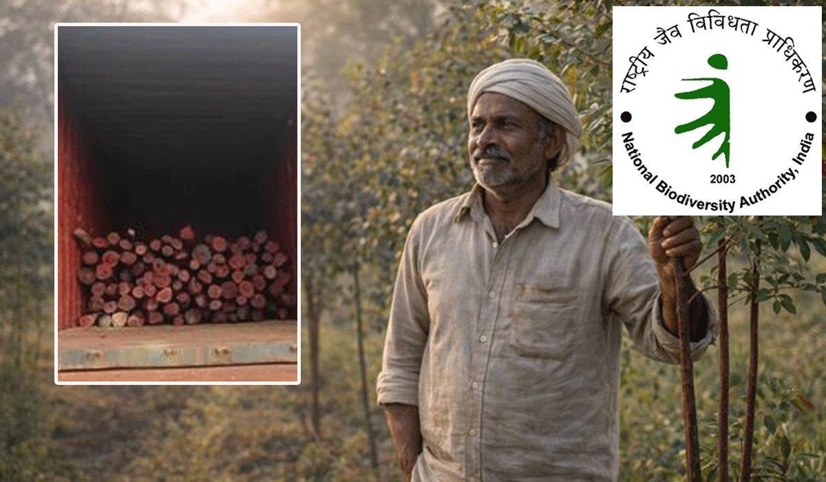 Biodiversity authority releases Rs 45 lakh for Red Sanders growers in Andhra