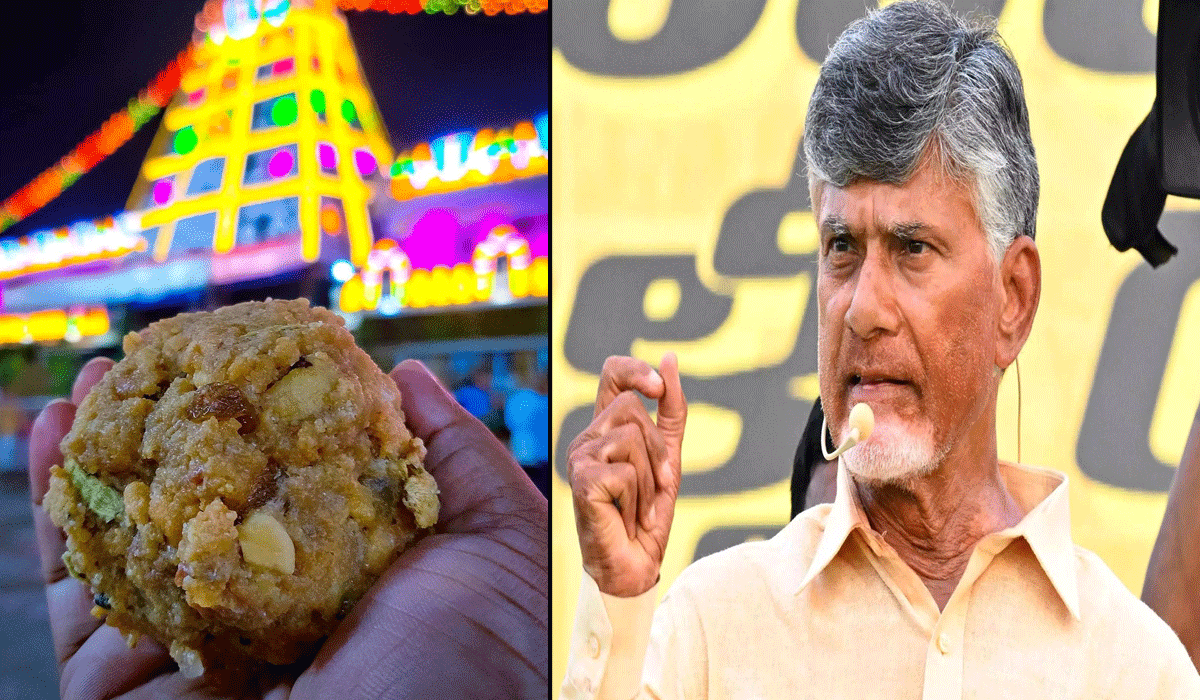 YSRCP demands Chandrababu Naidu come clean on Tirupati laddu adulteration remark