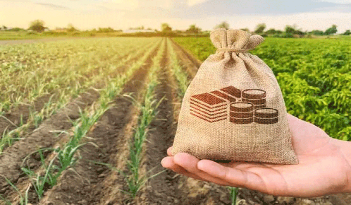 Farmers look to Budget 2026-27 for relief and guarantees