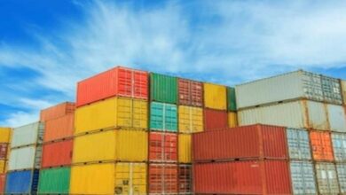 716 applications worth Rs 3,141 crore sanctioned under CGSE within 1 month: Govt