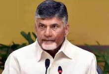 Polavaram-Nallamalla Sagar project will not harm anyone: CM Chandrababu Naidu