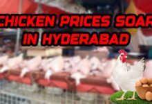 Chicken Prices Soar in Telangana, Skinless Chicken Hits Record High in Hyderabad, Egg ₹8