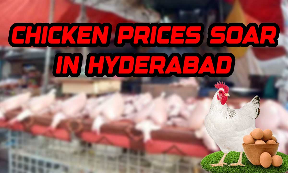 Chicken Prices Soar in Telangana, Skinless Chicken Hits Record High in Hyderabad, Egg ₹8