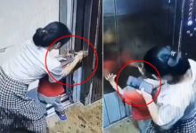 Mother Busy on Mobile, Child’s Hand Gets Stuck in Lift Door, Viral Video Sparks Child Safety Concerns