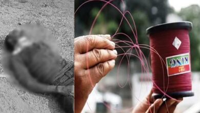 Chinese Manja Turns Deadly During Sankranti, Rider Killed in Sangareddy, Police Issue Fresh Warning