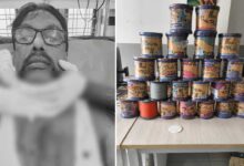 Chinese Manja Horror During Sankranthi: ASI Seriously Injured in Uppal After Kite String Slits Throat