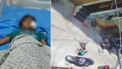 Dog Attack on Child Near Khairatabad Ganesh Pandal, UKG Student Under Treatment at Rainbow Hospital