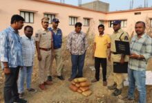 Hyderabad Drug Bust: Two Interstate Ganja Peddlers Arrested, 11 Kg Contraband Seized